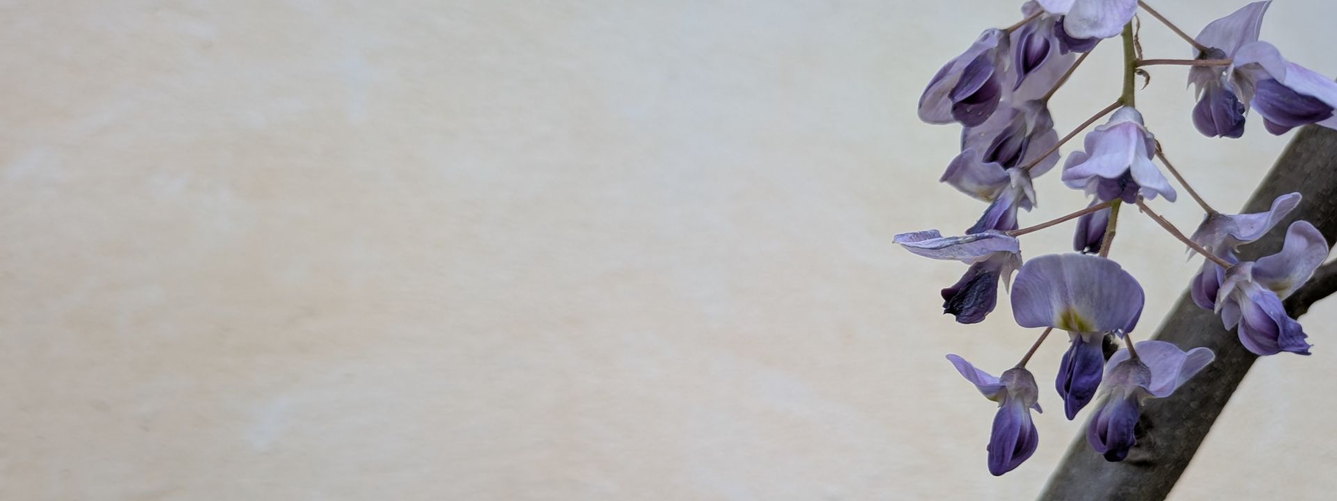 Bannerbild Das Haus